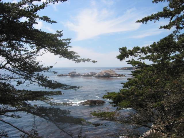 2004/06 June/Monterey Big Sur/640x480_IMG_0875.JPG